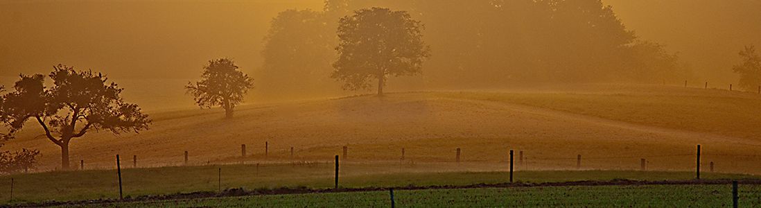Herbstlandschaft Brensbach